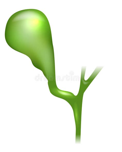 gallbladder clipart 10 free Cliparts | Download images on Clipground 2024