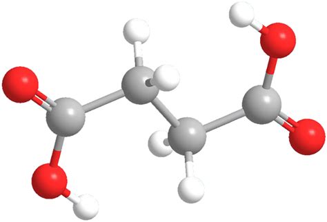 Succinic acid - American Chemical Society