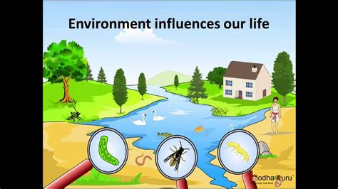 Science - What are Biotic and Abiotic Components of the Environment - English - YouTube