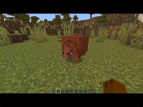 I added ARMADILLOS to Minecraft BEFORE MOJANG - YouTube