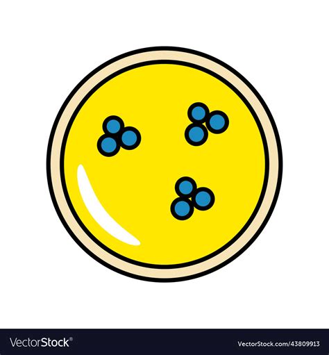 Petri dish with bacteria laboratory experiment Vector Image