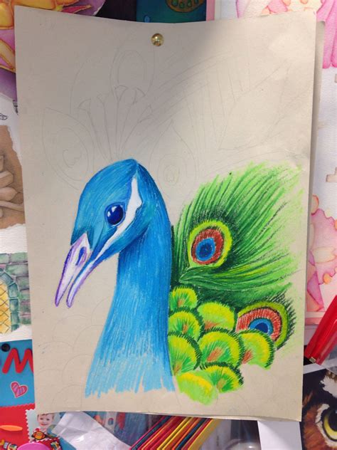 Oil pastel peacock, unfinished! | Oil pastel art, Oil pastel, Peacock drawing