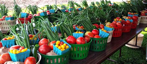 Miller's Bay Farm | Bountiful Baskets CSA Program | Discover our Family Farm near Lombardy, Ontario