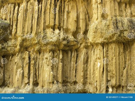 Clay_soil_texture Cartoon Vector | CartoonDealer.com #90789623