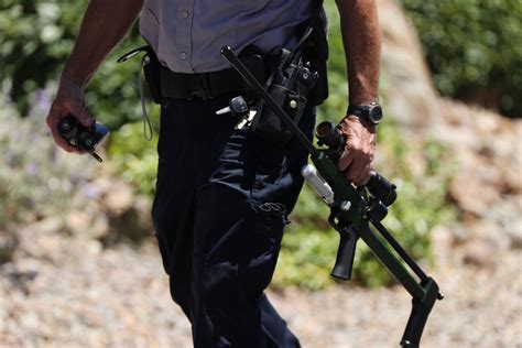 An officer carries a tranquilizer gun while responding to a mountain ...