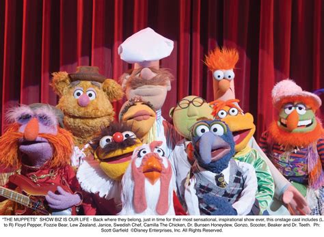 Images, Character Descriptions, and Fun Facts for THE MUPPETS | Collider