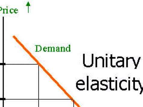 Unitary Elastic by Jose Lopez