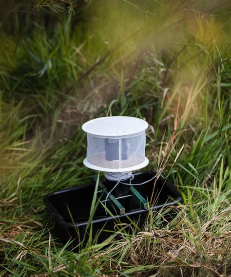 The Different Mosquito Surveillance Traps: Are They All The Same?