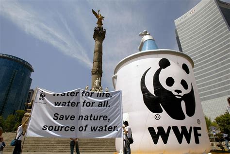 World Wildlife Fund (WWF) taking A Stand On Global Sustainable Finance