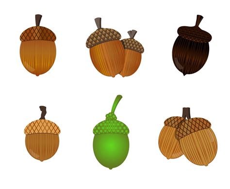 Free Acorn Vector Vector Art & Graphics | freevector.com