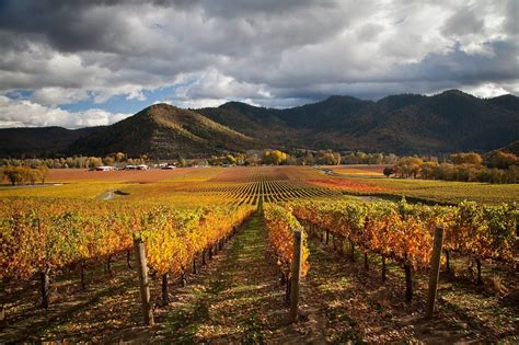 5 must-see vineyards around Oregon's Rogue Valley | Oregon wineries, Oregon wine country, Wine trail