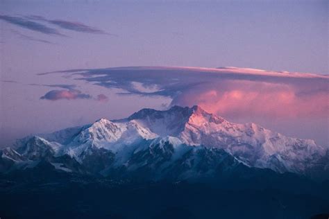 Elusive creature behind the ‘yeti legend’ spotted in India for the ...