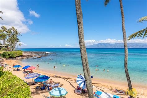 Napili Bay Resort Condo 201 − Studio Beachfront Condo, Maui | Aloha Condos