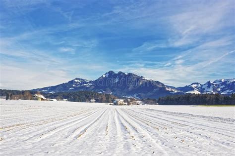 Landscape of Countryside in Snow Covered Switzerland in Winter Stock ...