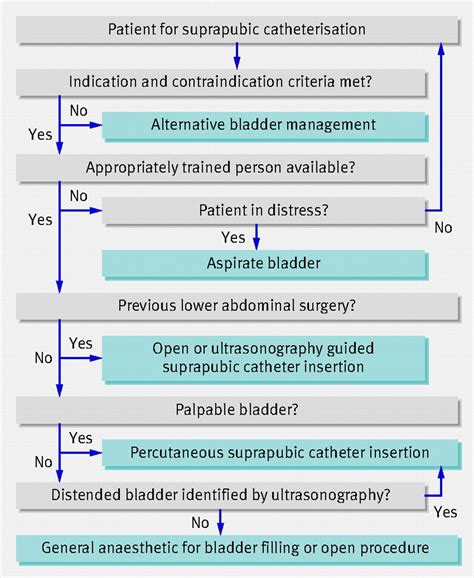 Safer insertion of suprapubic catheters: summary of a safety report from the National Patient ...