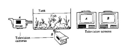 13.8: Quantum Entanglement - Physics LibreTexts