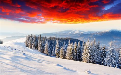 Nature photography of red clouds over pine trees on snow field, landscape, nature HD wallpaper ...