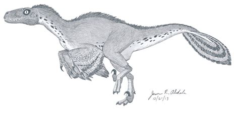 raptor dinosaur | Acheroraptor: A new “raptor” dinosaur from the Hell Creek ... Raptor Dinosaur ...