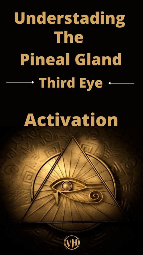 UNDERSTANDING THE PINEAL GLAND & 2 USEFUL STEPS TO HELP ACTIVATE THE THIRD EYE | Gland, Pineal ...