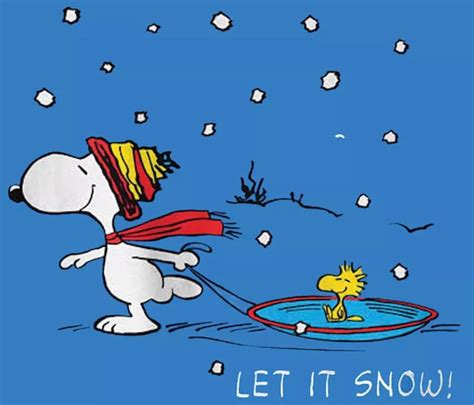 Pin by Adnerb on Snoopy & the Gang | Snoopy christmas, Snoopy love ...