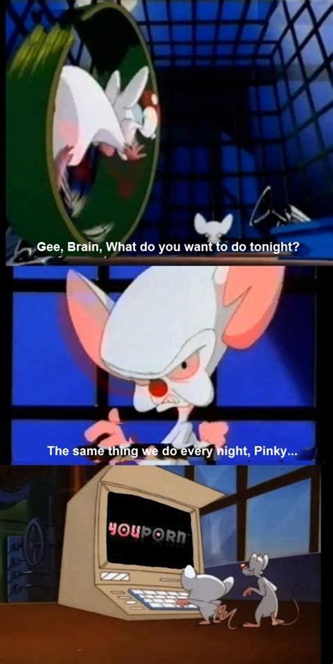 Pinky and the Brain - Meme Guy