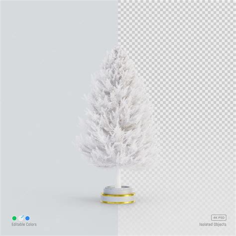 Premium PSD | White pine tree isolated