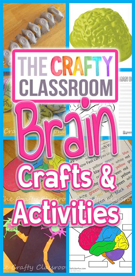 Brain Crafts and Activities | Brain craft, The brain for kids, Human ...