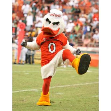 University of Miami Hurricanes Mascot Costume