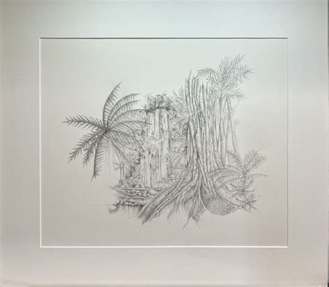 Rainforest Pencil Drawing 1 | Lesley Davies Art