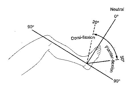 Range of Motion