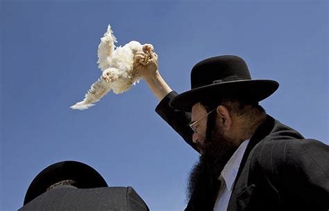 On a wing and a prayer: Jews prepare Yom Kippur