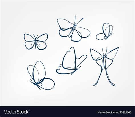 Butterfly insect art line isolated doodle Vector Image