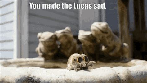 Lucasthe Spider Sad GIF - Lucasthe Spider Sad Lucas - Discover & Share GIFs