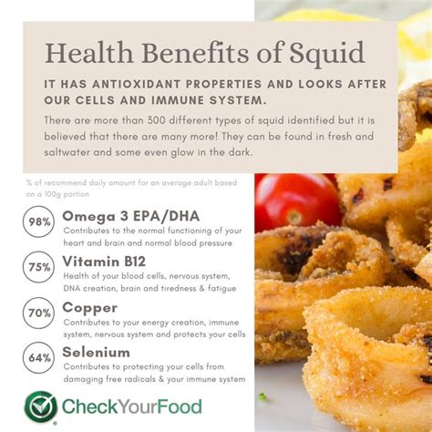 The health benefits of squid | Seafood benefits, Holistic nutrition ...