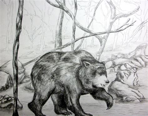 Bear in the Woods by BVW on deviantART