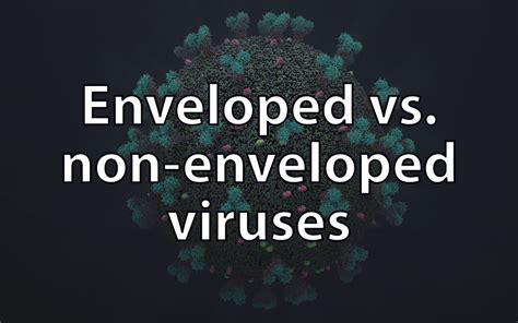 Enveloped vs. non-enveloped viruses | VIROLOGY RESEARCH SERVICES