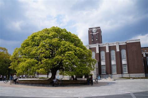 Kyoto University remains top of Japanese university rankings in 2019 - The Jakarta Post