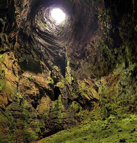 Sótano de las golondrinas en la Huasteca Potosina