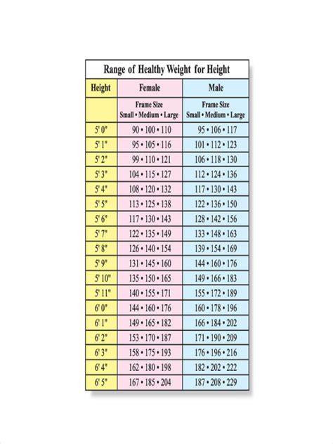 Height and Weight Chart - 7+ Examples, Format, Pdf, How to Create, PDF