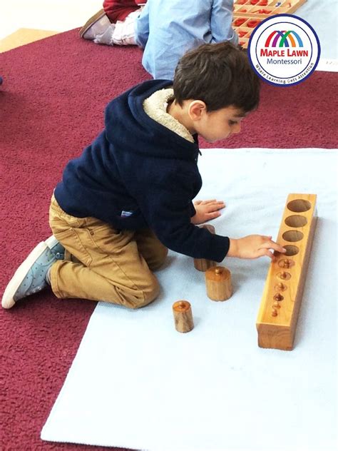 Knobbed Cylinders are used to teach children to visually discriminate between dimensions. Enroll ...