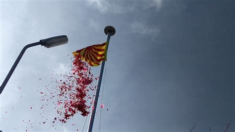 Flag_Hoisting_Ceremony_Petals – Brahma Kumaris News