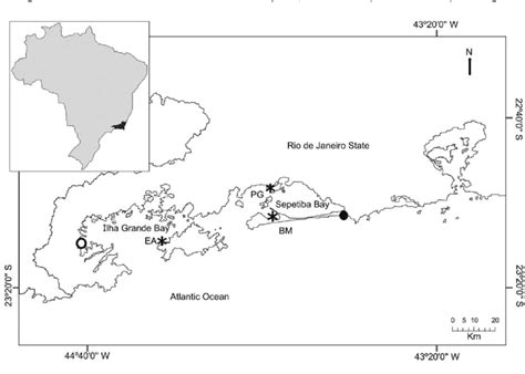 Kappaphycus alvarezii: cultivation sites (asterisks) at Marambaia Bay ...