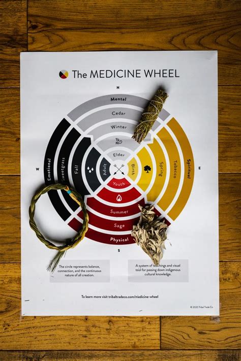 The indigenous medicine wheel ⚫️⚪️🟡🔴(NATIVE Medicine Wheel EXPLAINED!) | Medicine wheel, Native ...