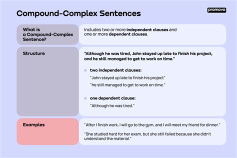 Compound Complex Sentence Guide: Examples & Structure