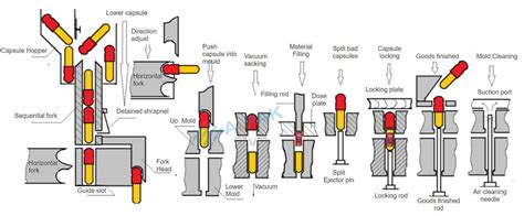 6 Stations You must Know to Improve the Filling Quality of Automatic Capsule Filling Machine – AIPAK