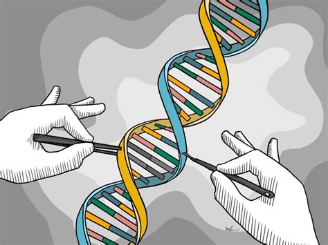 CRISPR: How does gene editing influence regular life?