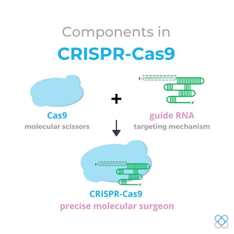 The CRISPR-Cas9 Genome Editing System | Advanx Health Blog