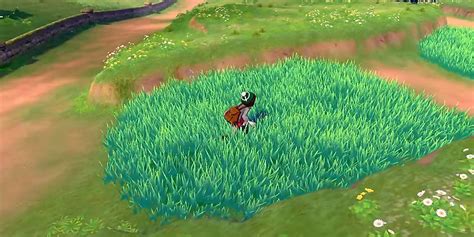 Theory: How Pokémon Were Trained To Hide In Tall Grass