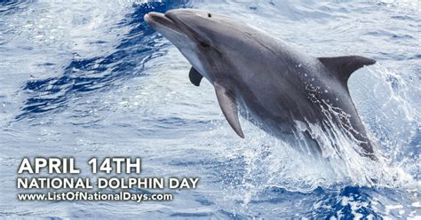 NATIONAL DOLPHIN DAY - List Of National Days