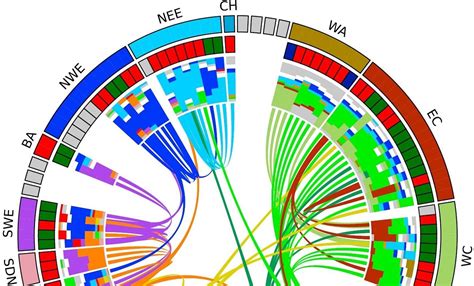 Genetic history maps centuries of European migration | University of Oxford History Books ...